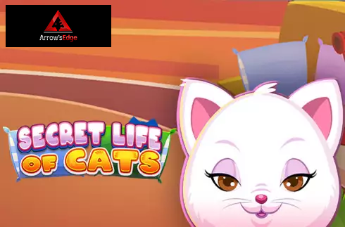 Secret Life of Cats